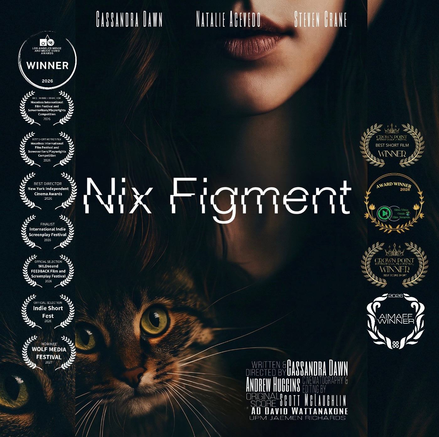 Nix Figment movie poster